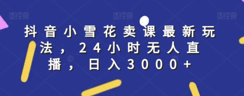 抖音小雪花卖课最新玩法，24小时无人直播，日入3000+【揭秘】-升阶有道