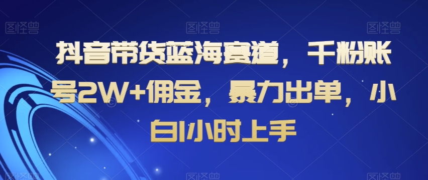 抖音带货蓝海赛道，千粉账号2W+佣金，暴力出单，小白1小时上手【揭秘】-升阶有道