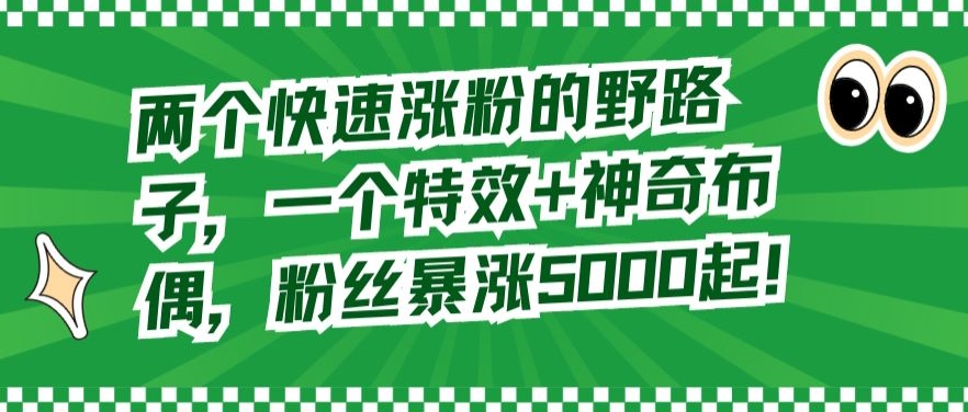 两个快速涨粉的野路子，一个特效+神奇布偶，粉丝暴涨5000起【揭秘】-升阶有道