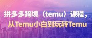 拼多多跨境(temu)课程,从Temu小白到玩转Temu-升阶有道