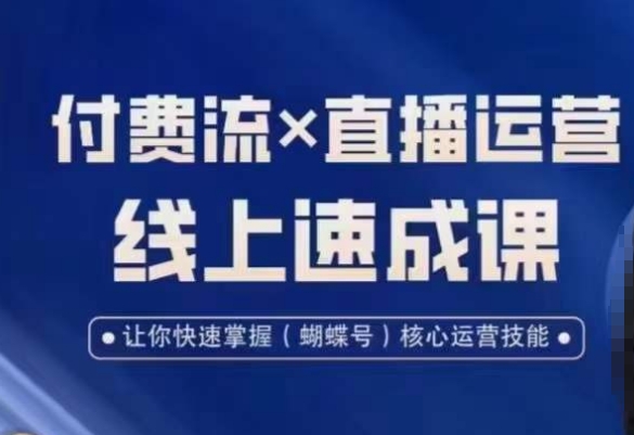 视频号付费流实操课程，付费流✖️直播运营速成课，让你快速掌握视频号核心运营技能-升阶有道