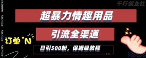 最新情趣项目引流全渠道,自带高流量,保姆级教程,轻松破百单,日引500+粉【揭秘】-升阶有道