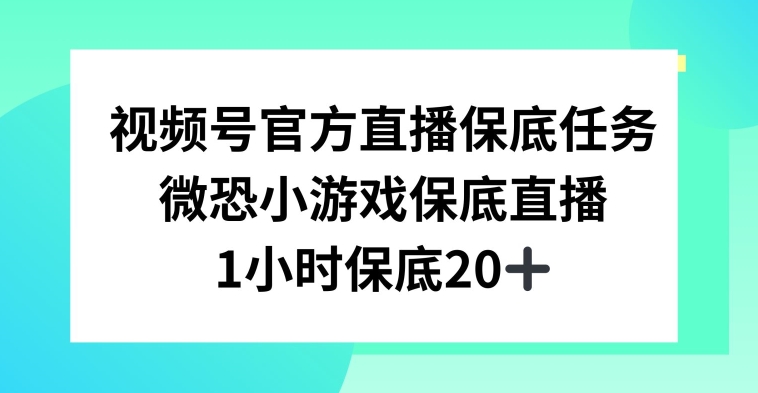 视频号直播任务，微恐小游戏，1小时20+【揭秘】-升阶有道