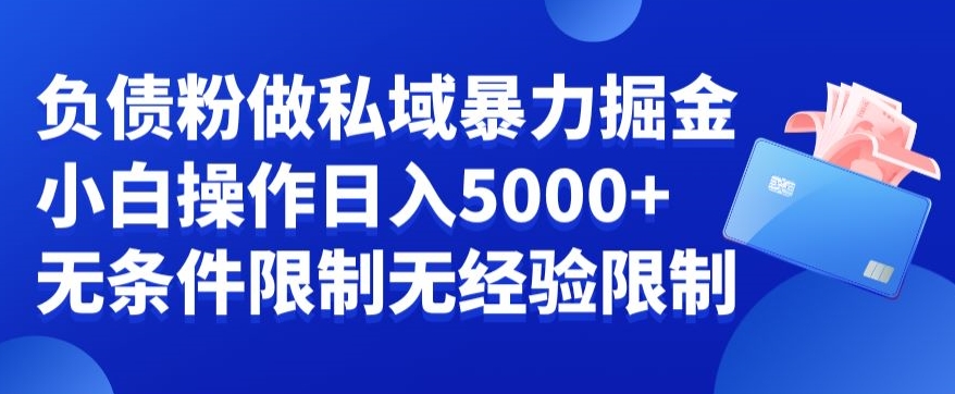 负债粉私域暴力掘金，小白操作入5000，无经验限制，无条件限制【揭秘】-升阶有道