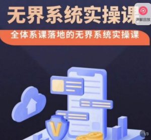 老衲·无界系统实操课，全体系落地无界改版后选择、出价、高投产做付费引流-升阶有道