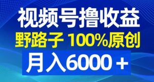 视频号野路子撸收益,100%原创,条条爆款,月入6000+【揭秘】-升阶有道