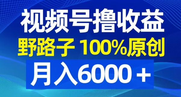 视频号野路子撸收益，100%原创，条条爆款，月入6000＋【揭秘】-升阶有道
