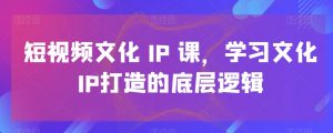短视频文化IP课,学习文化IP打造的底层逻辑-升阶有道