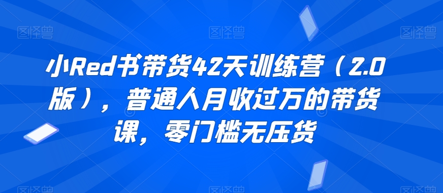 小Red书带货42天训练营（2.0版），普通人月收过万的带货课，零门槛无压货-升阶有道