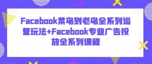 Facebook菜鸟到老鸟全系列运营玩法+Facebook专业广告投放全系列课程-升阶有道