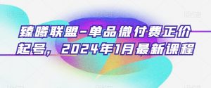 臻曦联盟-单品微付费正价起号,2024年1月最新课程-升阶有道