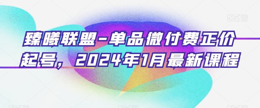 臻曦联盟-单品微付费正价起号，2024年1月最新课程-升阶有道