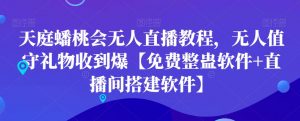 天庭蟠桃会无人直播教程，无人值守礼物收到爆【免费整蛊软件+直播间搭建软件】-升阶有道