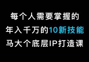 马大个的IP底层逻辑课,每个人需要掌握的年入千万的10新技能,约会底层IP打造方法!-升阶有道