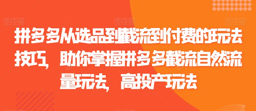 拼多多从选品到截流到付费的玩法技巧，助你掌握拼多多截流自然流量玩法，高投产玩法-升阶有道