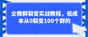 企微群裂变实战教程,低成本从0裂变100个群的-升阶有道