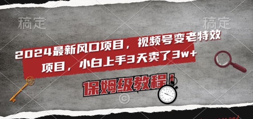 2024最新风口项目，视频号变老特效项目，电脑小白上手3天卖了3w+，保姆级教程【揭秘】-升阶有道