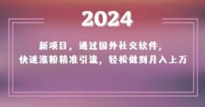 2024新项目,通过国外社交软件,快速涨粉精准引流,轻松做到月入上万【揭秘】-升阶有道
