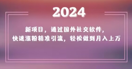 2024新项目，通过国外社交软件，快速涨粉精准引流，轻松做到月入上万【揭秘】-升阶有道