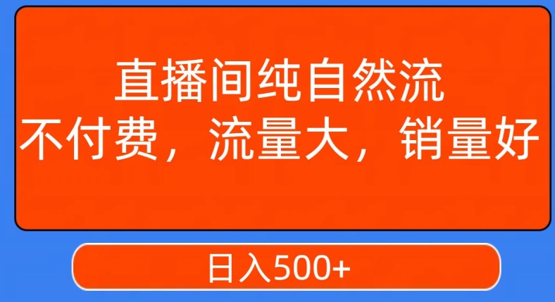 视频号直播间纯自然流，不付费，白嫖自然流，自然流量大，销售高，月入15000+【揭秘】-升阶有道