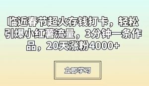 临近春节超火存钱打卡，轻松引爆小红薯流量，3分钟一条作品，20天涨粉4000+【揭秘】-升阶有道