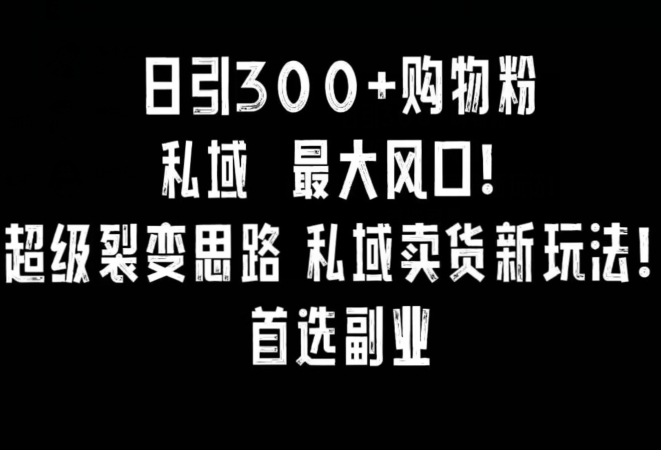 日引300+购物粉，超级裂变思路，私域卖货新玩法，小红书首选副业【揭秘】-升阶有道