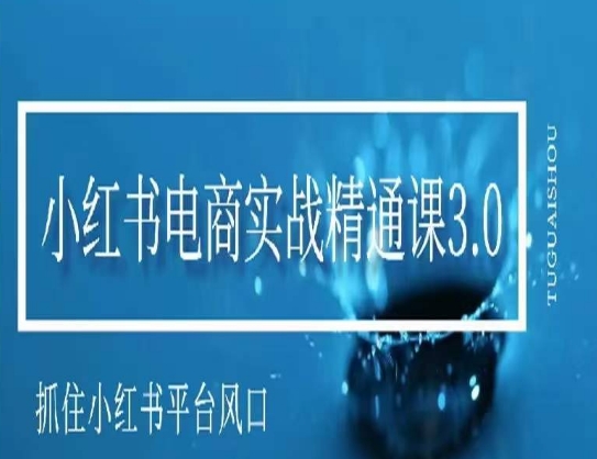 小红书电商实战精通课3.0，抓住小红书平台的风口，不错过有一个赚钱的机会-升阶有道
