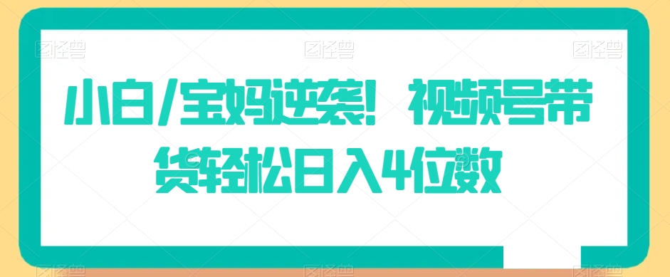 小白/宝妈逆袭！视频号带货轻松日入4位数【揭秘】-升阶有道