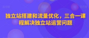 独立站搭建和流量优化，三合一课程解决独立站运营问题-升阶有道