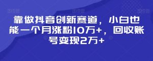 靠做抖音创新赛道，小白也能一个月涨粉10万+，回收账号变现2万+【揭秘】-升阶有道