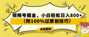 视频号掘金,小白轻松日入800+(附100%过原创技巧)【揭秘】-升阶有道