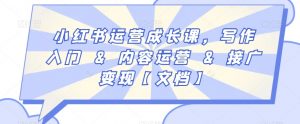 小红书运营成长课,写作入门&内容运营&接广变现【文档】-升阶有道