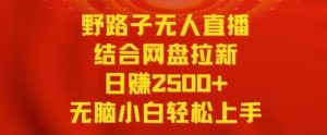 野路子无人直播结合网盘拉新,日赚2500+,小白无脑轻松上手【揭秘】-升阶有道
