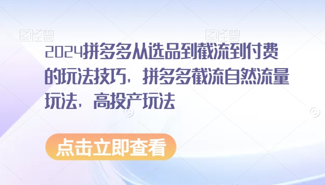 2024拼多多从选品到截流到付费的玩法技巧，拼多多截流自然流量玩法，高投产玩法-升阶有道