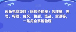 闲鱼电商项目（玩转价格差）含注册、养号、标题、成交、售后、选品、货源等，一条龙全系统教程-升阶有道