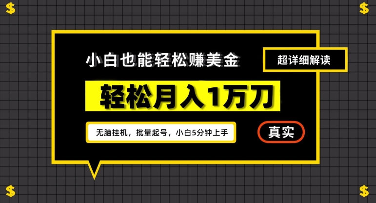 谷歌看广告撸美金2.0，无脑挂机，多号操作，月入1万刀【揭秘】-升阶有道