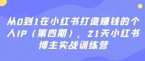 从0到1在小红书打造赚钱的个人IP(第四期),21天小红书博主实战训练营-升阶有道