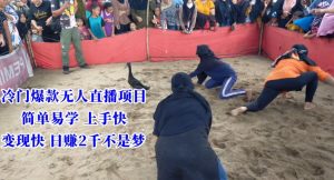 冷门爆款无人直播项目,简单易学上手快,变现快日赚2千不是梦【揭秘】-升阶有道