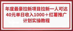 年度最豪拉新项目拉新一人可达40元单日收入1000+红薯推广计划实操教程【揭秘】-升阶有道