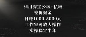 利用淘宝公域+私域差价掘金，日赚1000-5000元，工作室可放大操作，实操稳定半年【揭秘】-升阶有道