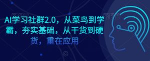 AI学习社群2.0,从菜鸟到学霸,夯实基础,从干货到硬货,重在应用-升阶有道