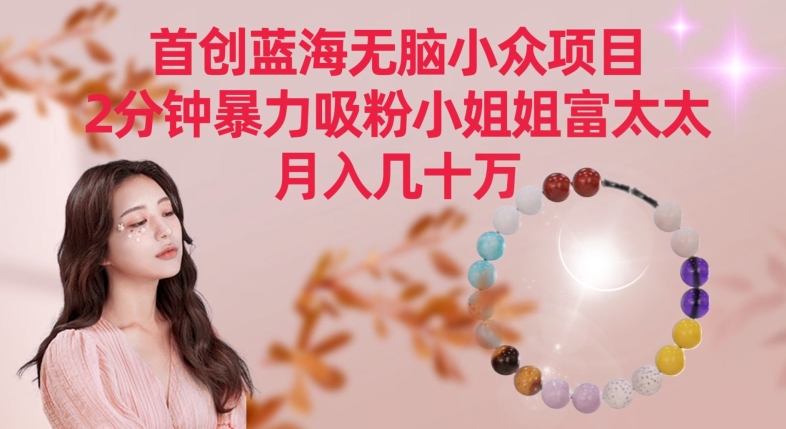 首创蓝海无脑小众项目，2分钟暴力吸粉小姐姐富太太，月入几十万【揭秘】-升阶有道