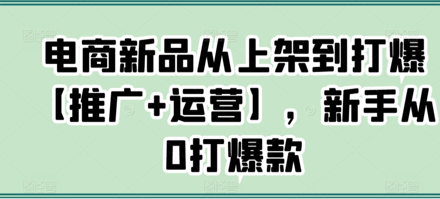 电商新品从上架到打爆【推广+运营】，新手从0打爆款-升阶有道