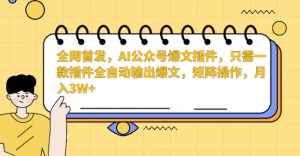 全网首发,AI公众号爆文插件,只需一款插件全自动输出爆文,矩阵操作,月入3W+【揭秘】-升阶有道