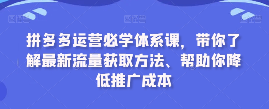 拼多多运营必学体系课，带你了解最新流量获取方法、帮助你降低推广成本-升阶有道
