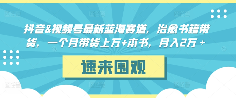 抖音&视频号最新蓝海赛道，治愈书籍带货，一个月带货上万+本书，月入2万＋【揭秘】-升阶有道