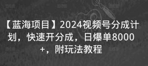 【蓝海项目】2024视频号分成计划,快速开分成,日爆单8000+,附玩法教程-升阶有道
