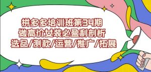 拼多多培训班第34期：做高价女装必盈利剖析选品/测款/运营/推广/拓展-升阶有道