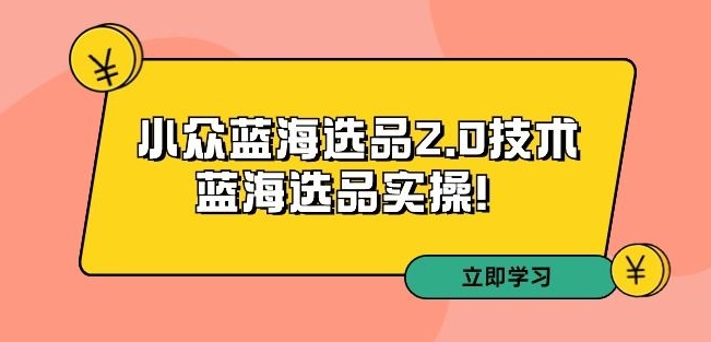 拼多多培训第33期：小众蓝海选品2.0技术-蓝海选品实操！-升阶有道