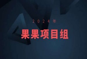 2024年果果项目组项目合集-果果最新项目-升阶有道